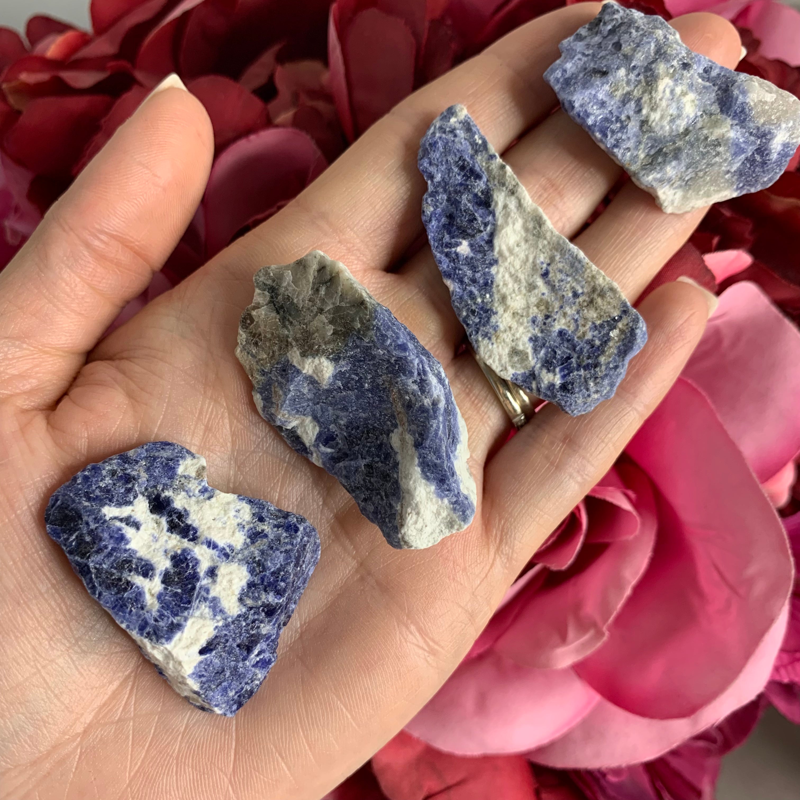 Rough Sodalite (3PC)