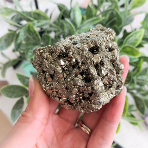 Druzy Pyrite Nugget