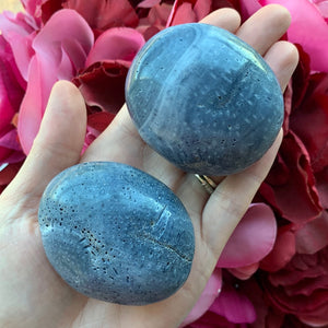 Blue Coral Jasper Palm Stone