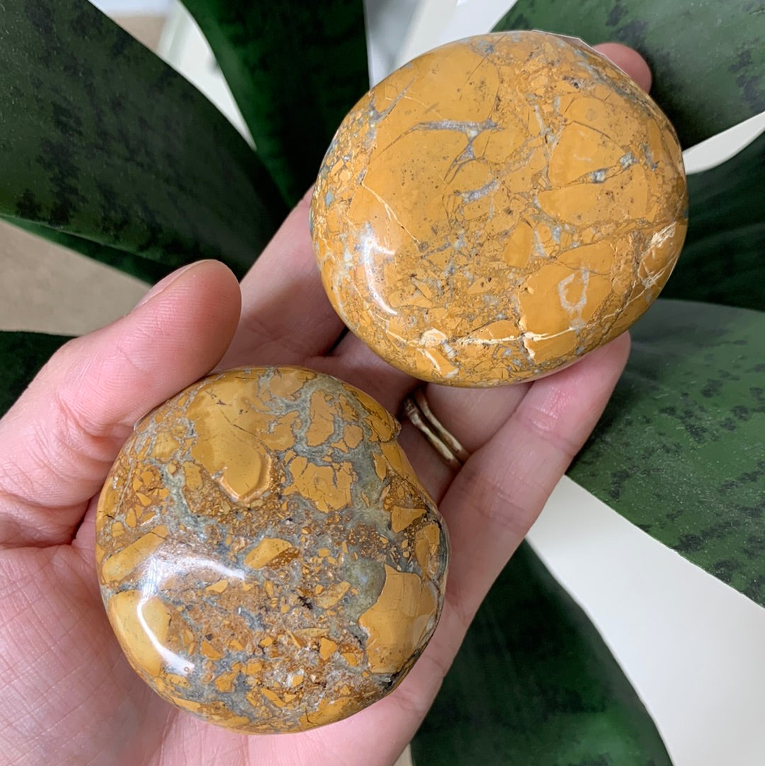 Maligano Jasper Palm Stone