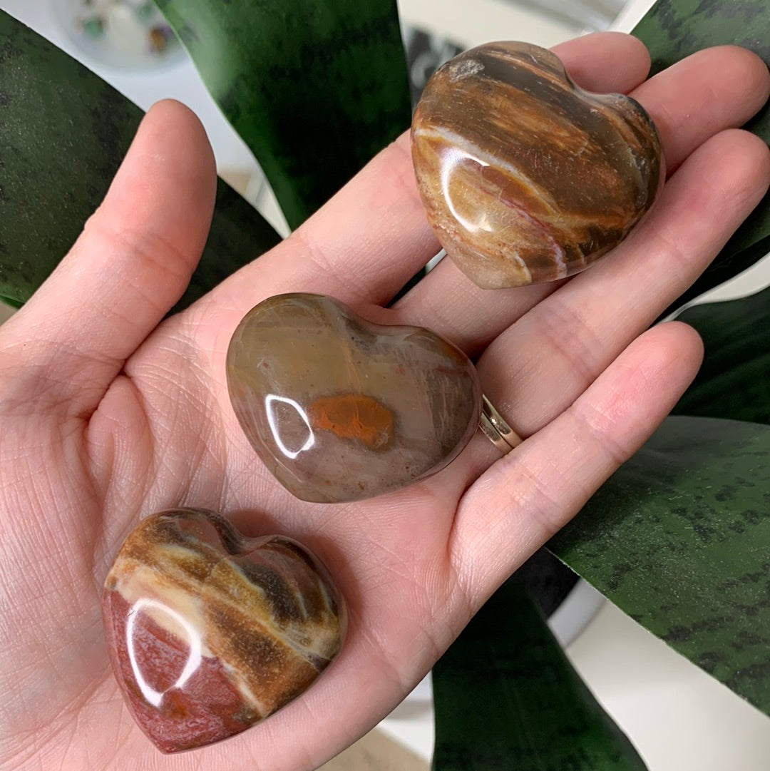 Petrified Wood Mini Hearts